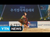 '으라차차' 달라진 씨름...가족 씨름팬 '좋아요' / YTN (Yes! Top News)