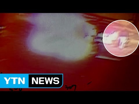 도박하려고 상습 보험사기 벌인 10대들 덜미 / YTN (Yes! Top News)