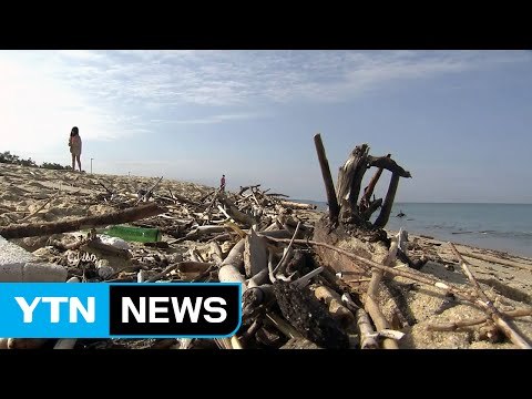 北 홍수 얼마나 컸으면...동해안까지 쓰레기 '둥둥' / YTN (Yes! Top News)