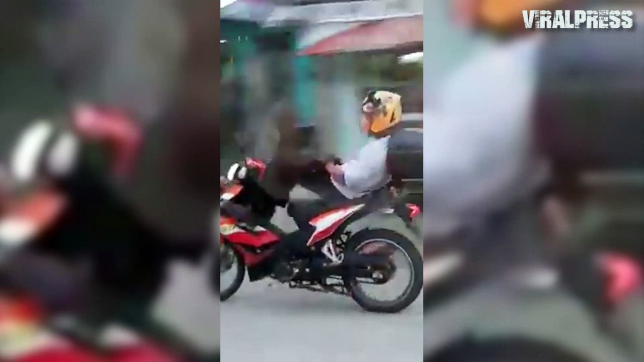 Motorbike Rider Doing Dangerous Stunts On Busy Road