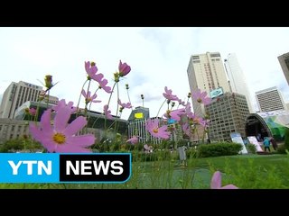 [날씨] 귀경길 내륙 맑음...동·남해안 비바람 / YTN (Yes! Top News)