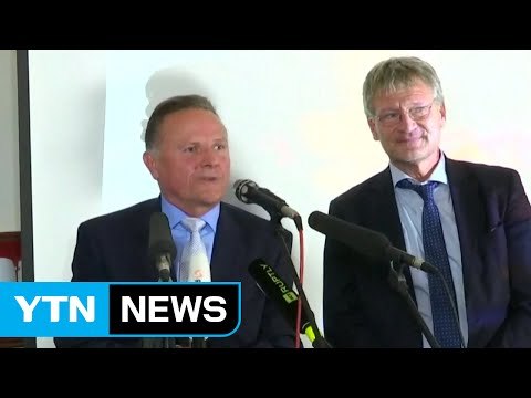 독일 反이슬람 극우 정당, 베를린 시의회 진출 / YTN (Yes! Top News)