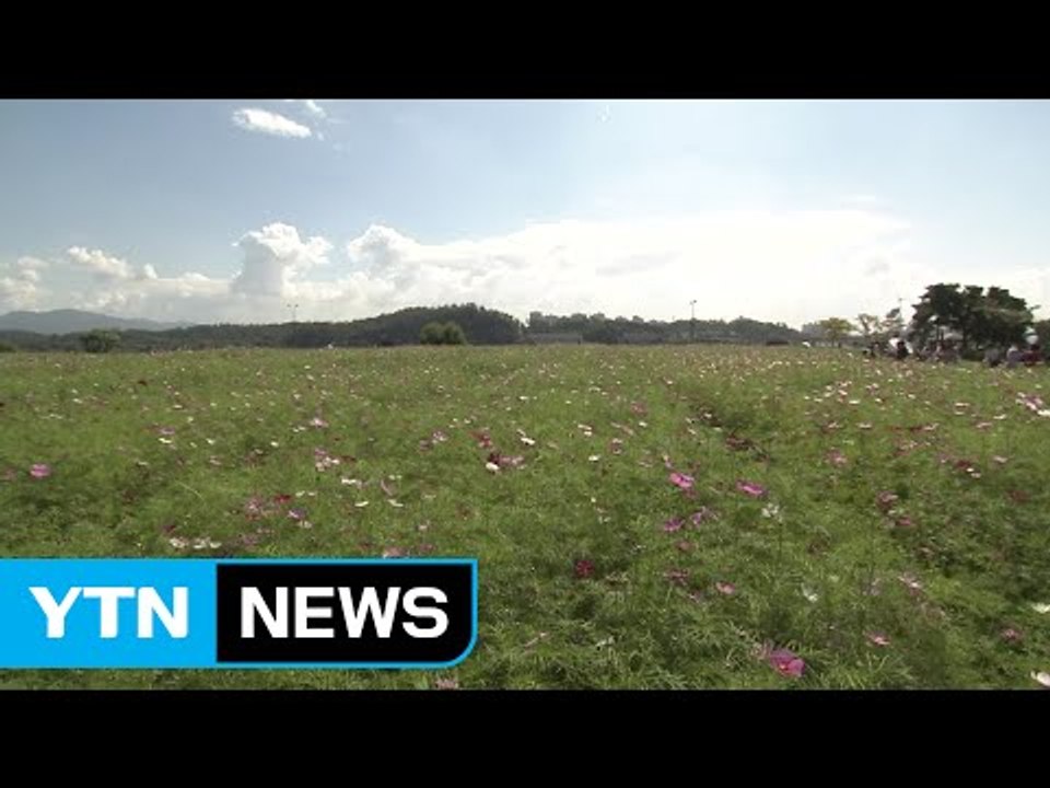 [날씨] 절기 추분, 구름 많고 제주·영남 해안 비 / YTN (Yes! Top News)