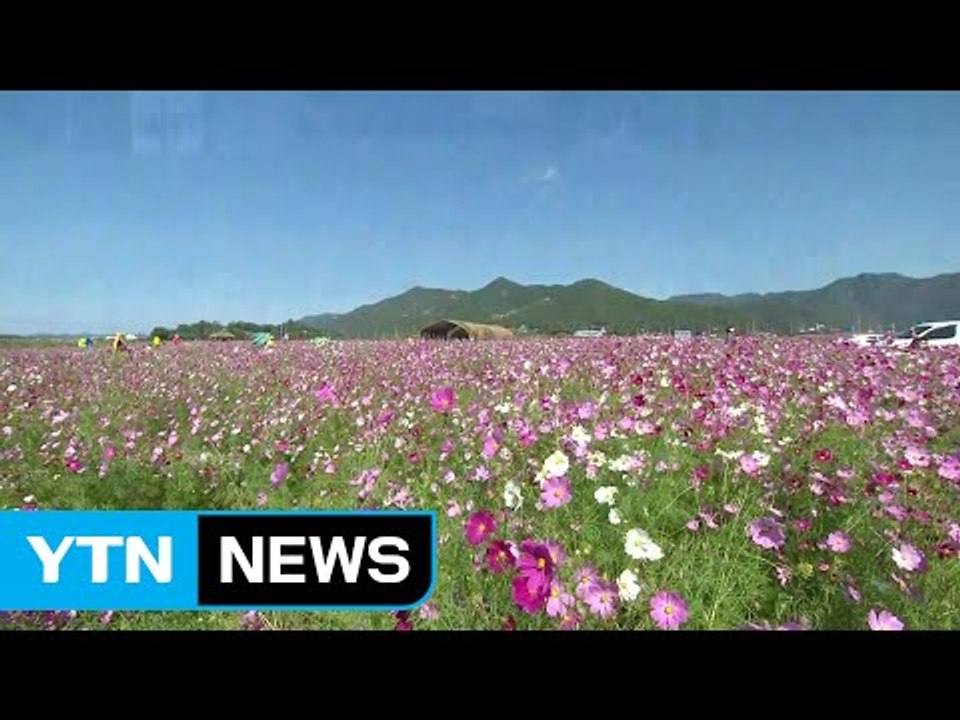 [날씨] 내륙 쾌청한 가을 날씨...영남 해안 강풍주의보 / YTN (Yes! Top...