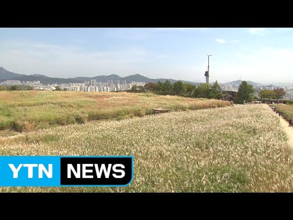[날씨] 청명한 가을 하늘...큰 일교차 주의 / YTN (Yes! Top News)