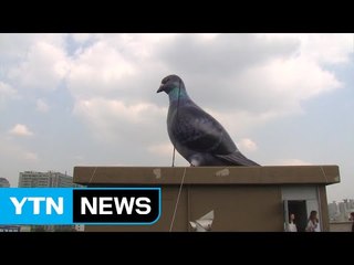 'A 드라이브의 추억' 세운상가 페스티벌 개최 / YTN (Yes! Top News)