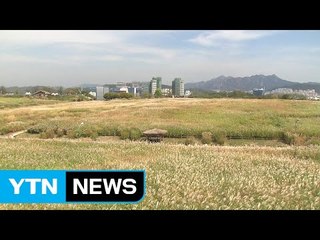 [날씨] 추분, 전국 구름 많고 제주·영남 해안 비 / YTN (Yes! Top News)