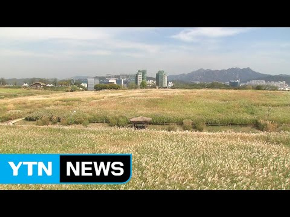 [날씨] 추분, 전국 구름 많고 제주·영남 해안 비 / YTN (Yes! Top News)