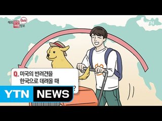 미국에서 동물 수입할 때 이것을 챙기세요! / YTN (Yes! Top News)