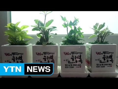 [좋은뉴스] 홀몸 어르신 외로움 달래는 '반려식물' / YTN (Yes! Top News)