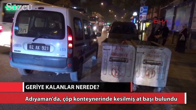 Çöp konteynerinde at başı bulundu