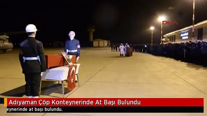 Adıyaman Çöp Konteynerinde At Başı Bulundu