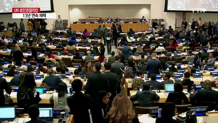 유엔, 北 인권결의 13년 연속 채택 / YTN