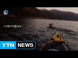 [영상] 호수 위에 떠 다니는 '의문의 물체' / YTN