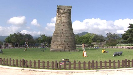 "포항 지진 관련 경주 등 문화재 피해 아직 없어" / YTN