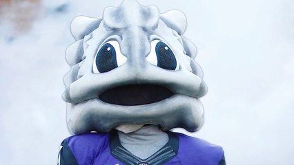 The 15 Craziest Mascots in College Football