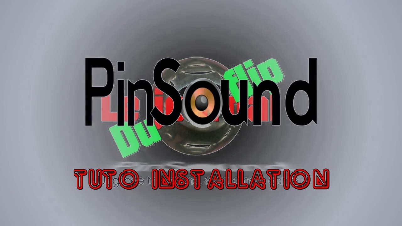 Le journal du flip spécial Pinsound