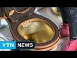 [영상] 루이비통 가죽 황금 변기 화제...10만달러 판매 / YTN