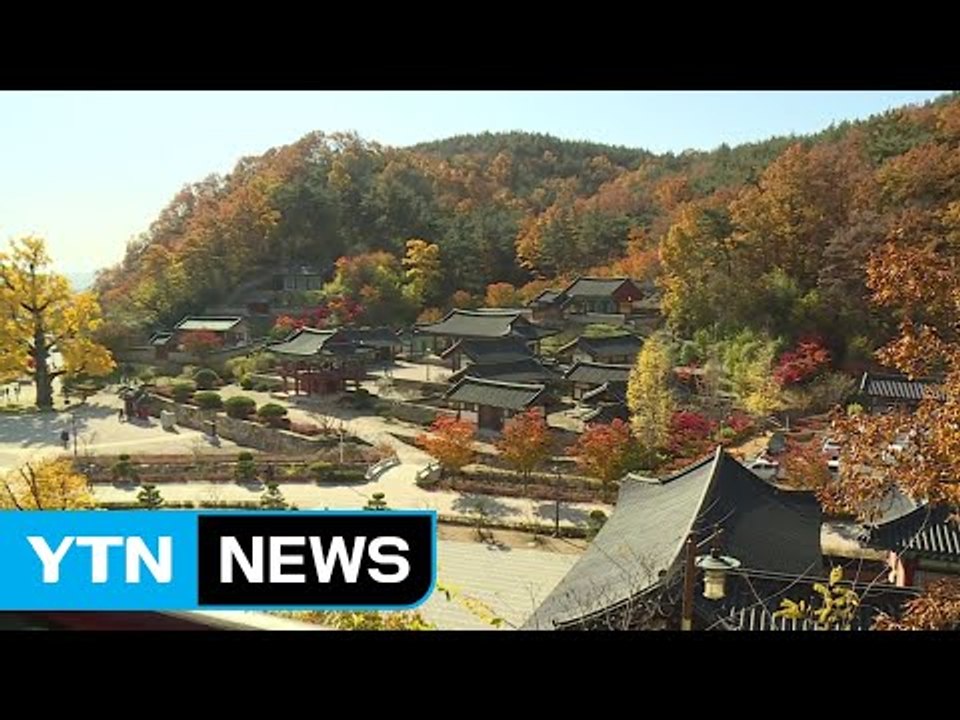 늦가을 정취 만끽...역사 체험은 덤 / YTN
