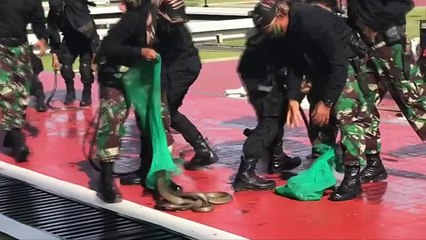 Indonésie : des soldats boivent du sang de cobra pour impressionner un ministre américain