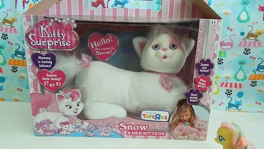kitty surprise snow