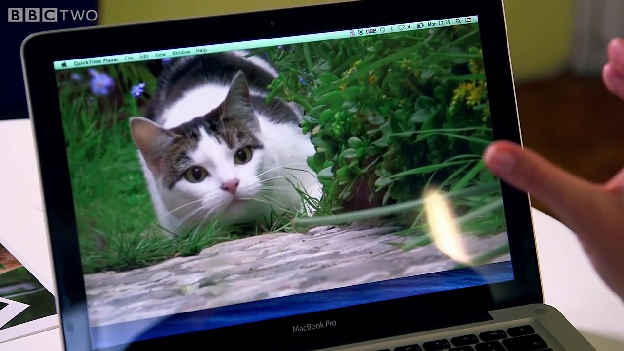 Cat's eyes - Cat Watch 2014 - The Horizon Experiment: Episode 2 Preview - BBC Two