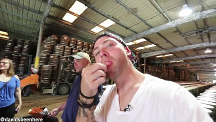 TABASCO SAUCE FACTORY AND FOOD TOUR | Avery Island, Louisiana