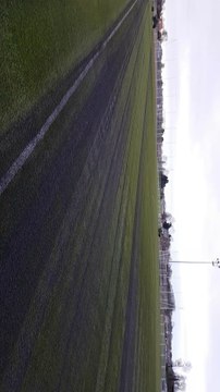 Refection de pelouse du synthétique