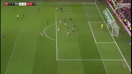 Aden Flint Goal vs Manchester City (2-2)