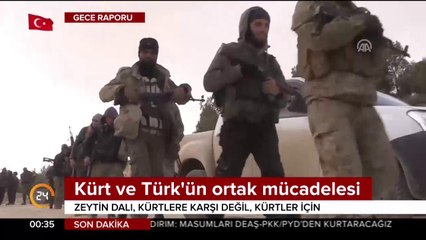 Zeytin Dalı Harekatı