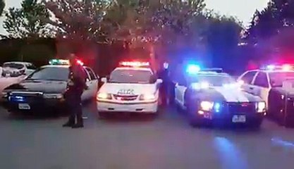 Barricade et ses homologues