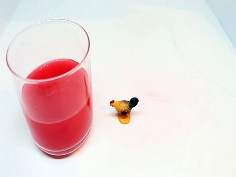 Learn Colors with Animals - Children nursery rhymes songs , Fun learning colors for kids & toddlers