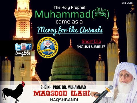 The Holy Prophet Muhammad ﷺ came as a Mercy for the animals. by Prof. Dr. Muhammad MAQSOOD ILAHI Naqshbandi