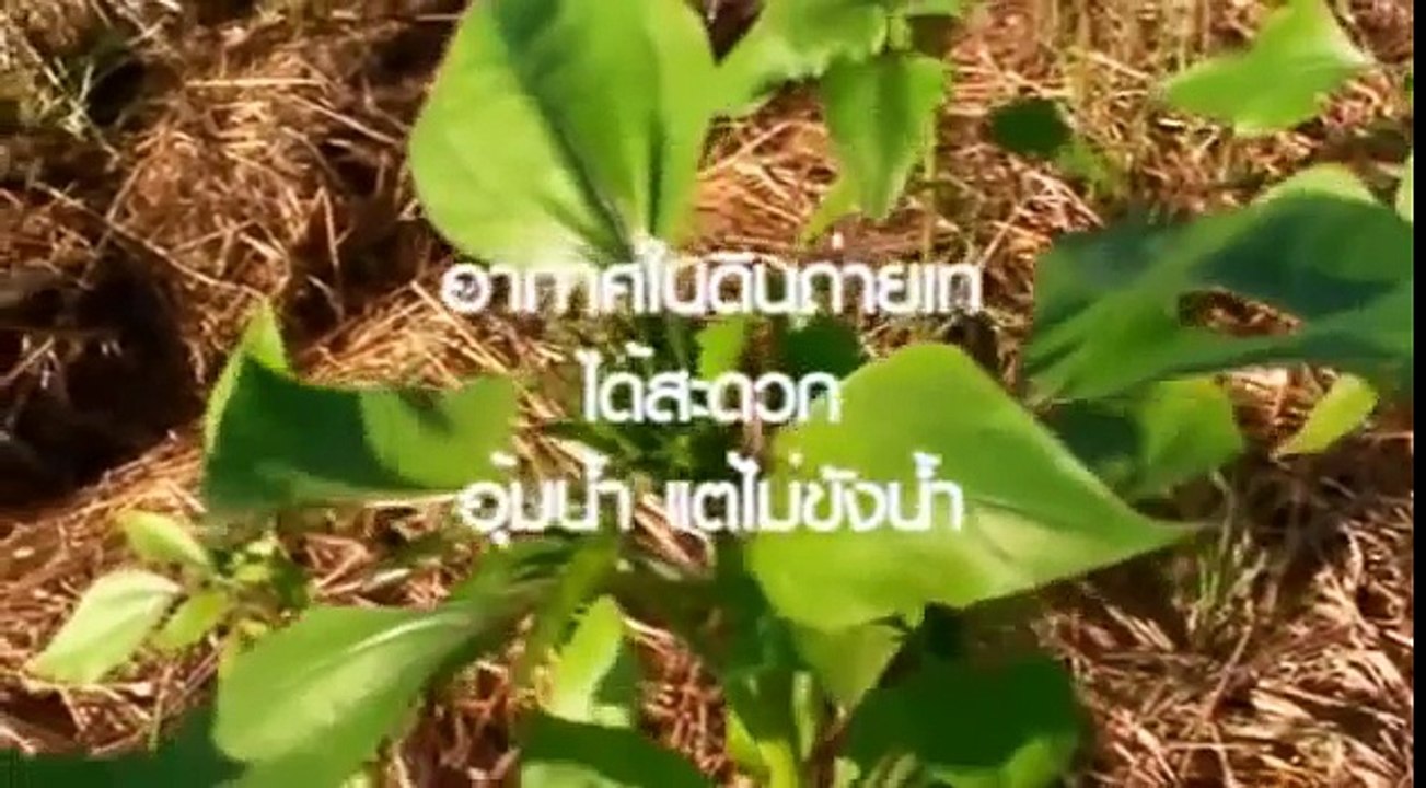 ครบเครื่องเรื่องดิน รวมความรู้สำหรับชาวเกษตรอย่างแท้จริง