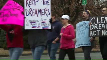Nine-Year-Old Girl Organized Women's March in Kansas City with Help from Her Dad