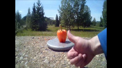CRUSHED IT. ORANGE COLORED BELL PEPPER.