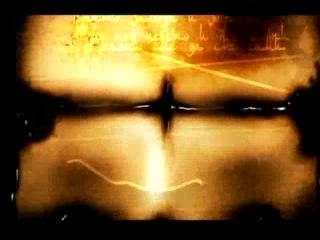 Kamelia-zaleza i zorata