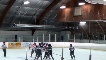 Hockey ref punches player, trainer punches ref