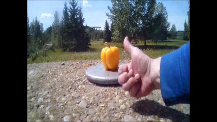 CRUSHED IT. YELLOW BELL PEPPER.