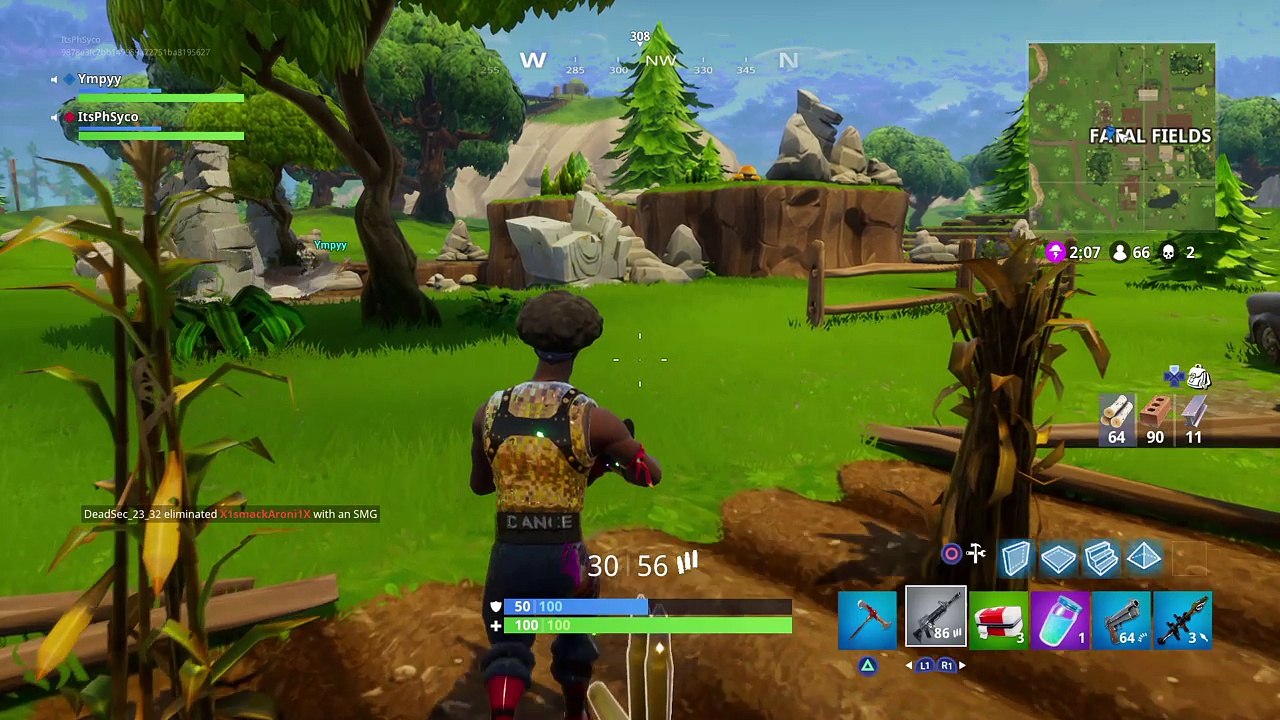 Fortnite_20180123172343