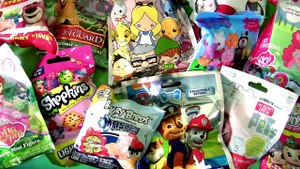Blind Bags Collection Paw Patrol Pets Sofia MLP Peppa Pig Disney Princess Mashem