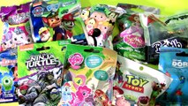 Blind Bags Collection Paw Patrol Squinkies TMNT Wikkeez MLP Sofia Dory Toy Story