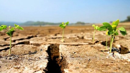 A louer - Appartement - LA VALETTE DU VAR (83160) - 3 pièces - 65m²