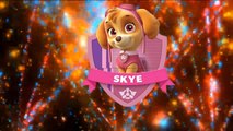 Colors for Children Learn with Color Paw Patrol Ryder | Color Ryder Learn Colors for Kids Videos