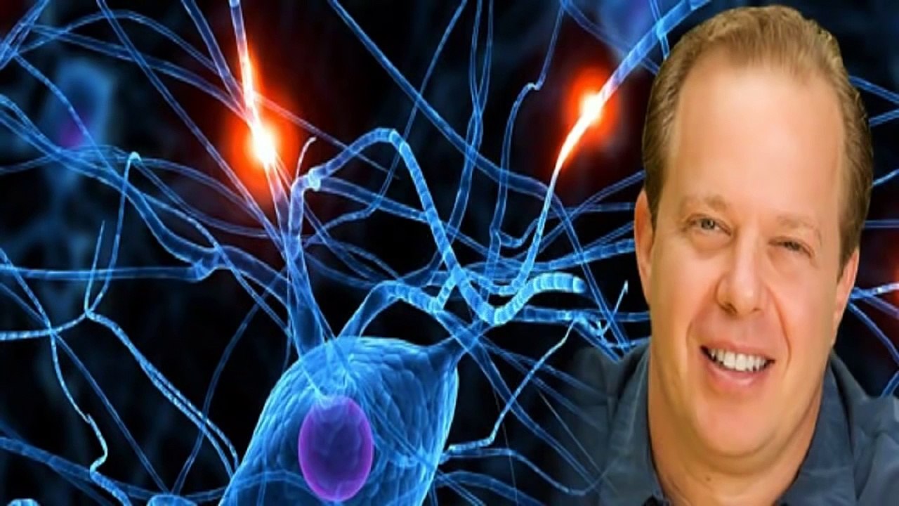 Джо Диспенза. Где внимание, там энергия: управление реальностью.