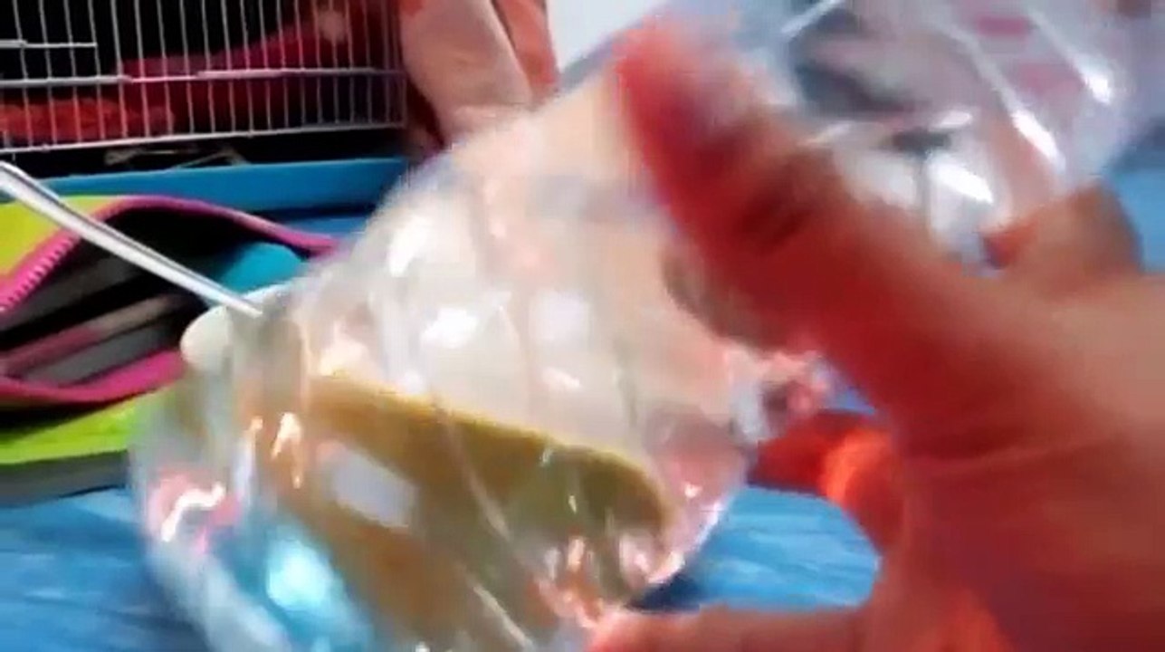 สไลม์สีใส(กล่นบีโบ้สังเคาะห์ขึ้นเองได้ง่ายๆ)