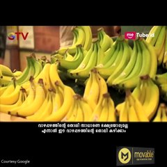 തൊലിയും കഴിക്കാം...ഒരു വാഴപ്പഴത്തിന് വില 373 രൂപ