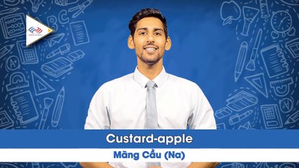 Chủ đề tên các loại hoa quả