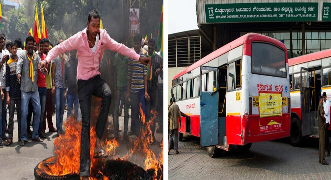 கர்நாடகாவில் நாளை பந்த்...பேருந்துகள் ஓடாது...பள்ளி, கல்லூரிகளுக்கு விடுமுறை- வீடியோ