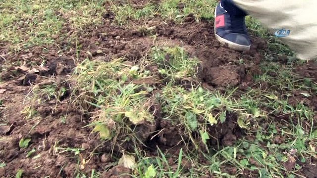 10 yıl boyunca biriktirdiği bozuk paraları toprağa gömdü